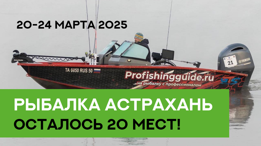 РЫБАЛКА АСТРАХАНЬ 2025 РЫБАЛКА АСТРАХАНЬ 2025
